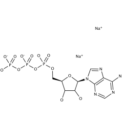 Adenozyna 5'-trifosforanowa (ATP), sól disodowa, trihydrat [51963-61-2]